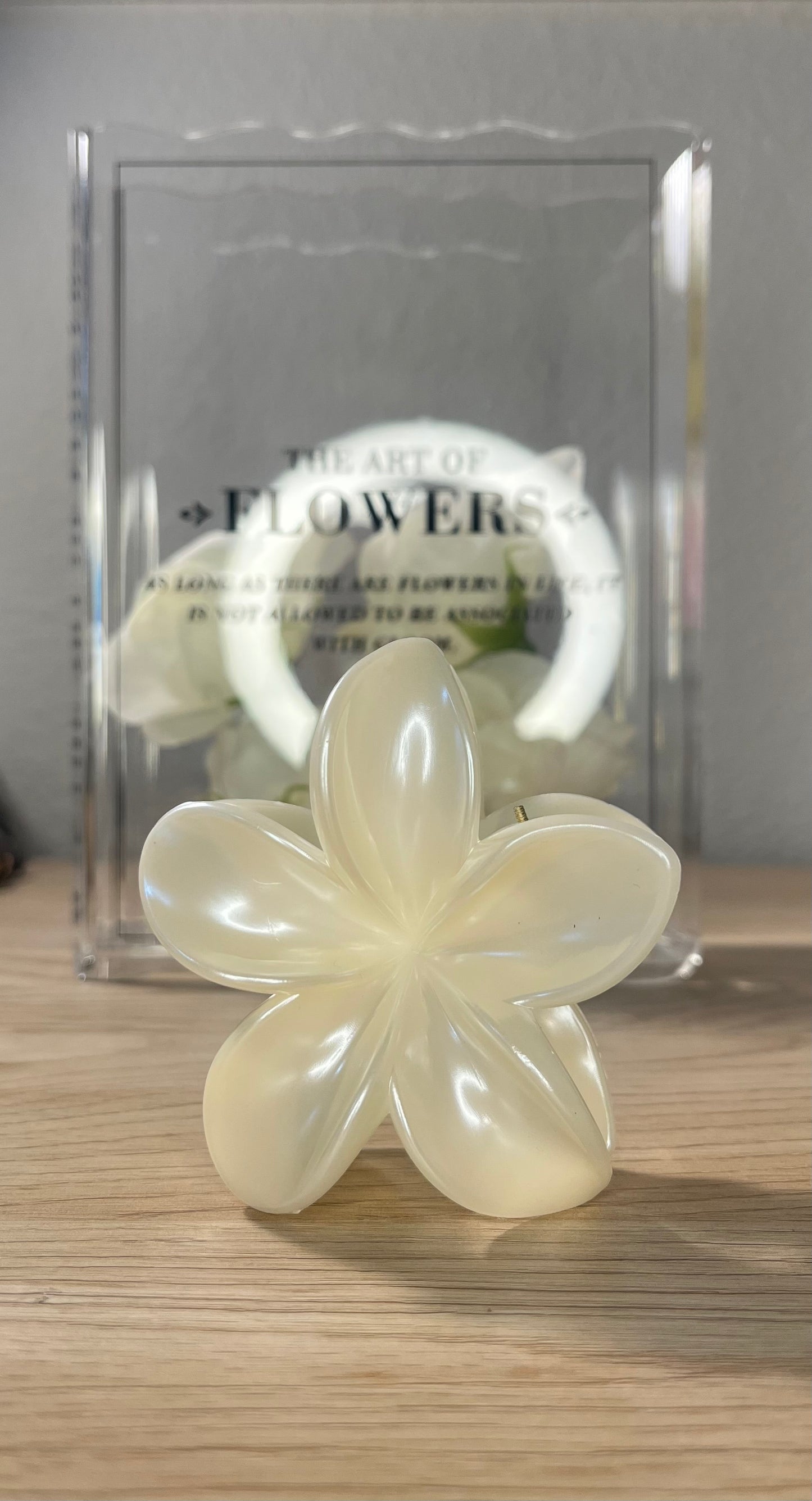 Fairy Pearl Hair Claw Clip